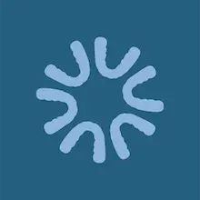 banner-shape